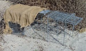 A trap for the random hunting of wild animals A trap for the random hunting of wild animals