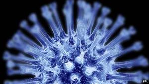 Grippevirus: Stachel sind Schwachstellen, an denen Forscher ansetzen (Foto: SPL)