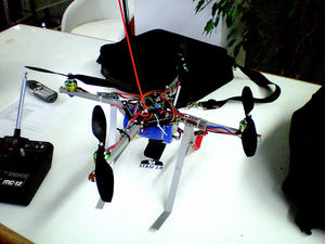 Drohne: Wohl kaum ein Haustierersatz (Foto: flickr.com/heartbeaz) Drohne: Wohl kaum ein Haustierersatz (Foto: flickr.com/heartbeaz)