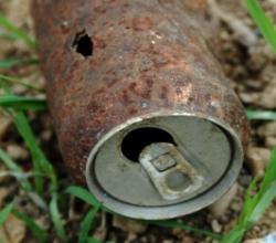 Dose: Müll-Fotos verbreiten sich viral im Netz (Foto: pixelio.de, Hirschka)