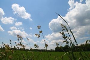 Natur: Prävention bei Typ-2-Diabetes durch Gehen (Foto: pixelio.de, P.Dirscherl) Natur: Prävention bei Typ-2-Diabetes durch Gehen (Foto: pixelio.de, P.Dirscherl)