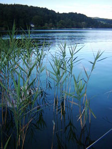 Alles okay nach der Flut? Leider nein, Nitrate belasten unser Wasser (© Gmeiner)