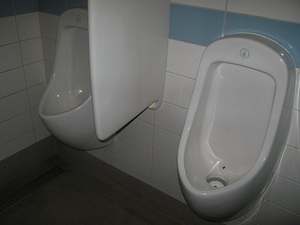 WCs: Mit Urin lassen sich Handys laden (Foto: flickr.com/sanitation)