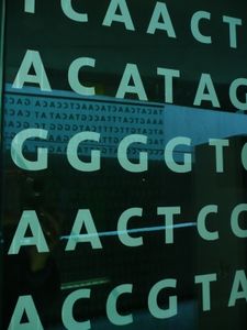 Gene: Hoffnung auf neue Therapien (Foto: pixelio.de, Gabi Schoenemann)