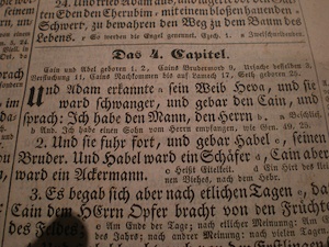 Bibelstudium: vom Buch zur Handy-App (Foto: flickr.com/JacobEnos)