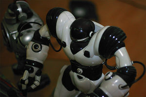 Roboter: zur menschlichen Unterstützung (Foto: flickr.com/k_millo)