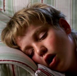 Schlafender Junge: Gerüche bekämpfen Angst (Foto: pixelio.de, S. Hofschlaeger)