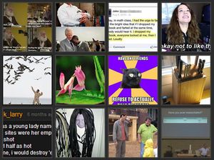 Fotos auf Imgur: Webseite mischt den Markt auf (Foto: imgur.com)