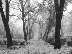 Tristesse: Suizidrisiko im Alter hoch (Foto: pixelio.de, Lutz Stallknecht)