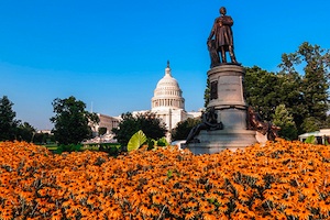 Kapitol: Shutdown in den USA trifft alle (Foto: flickr.com/Matthew Straubmuller) Kapitol: Shutdown in den USA trifft alle (Foto: flickr.com/Matthew Straubmuller)