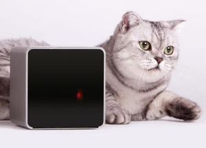 Petcube mit Katze: keine einsamen Haustiere mehr als Ziel (Foto: petcube.net) Petcube mit Katze: keine einsamen Haustiere mehr als Ziel (Foto: petcube.net)