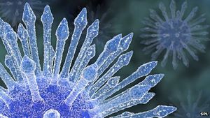 HI-Virus: Forscher arbeiten unter Hochdruck an einer Impflösung (Foto: SPL)