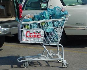 Einkaufskorb: beträchtlicher Teil geht vor Verkauf verloren (wikimedia/guanaco)
