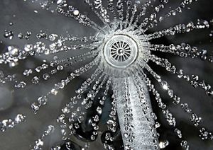 Unter der Dusche: App notiert musikalischen Schauer (Foto: pixelio.de/Gesa D) Unter der Dusche: App notiert musikalischen Schauer (Foto: pixelio.de/Gesa D)