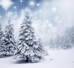 Weihnachten nicht alleine verbringen (Foto: Shutterstock)