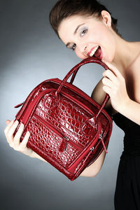 Handtasche: im TV entdeckt und dann online gekauft (Foto: pixelio.de/T.Reckmann) Handtasche: im TV entdeckt und dann online gekauft (Foto: pixelio.de/T.Reckmann)