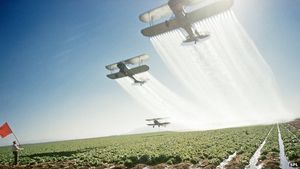 Flugzeuge bei DDT-Verteilung: Belastung für Umwelt und den Körper (Foto: SPL)