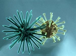 Virus: Die Angst vor einer Pandemie bleibt bestehen (Foto: pixelio.de, Aka)