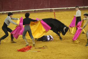 Children and bullfighting