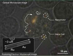 Unter dem Mikroskop: Nanomaschinen im Inneren von Zellen (Foto: psu.edu)