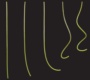 Einkringeln: Modellrechnung für Experimente (Foto: James Miller and Pedro Reis)