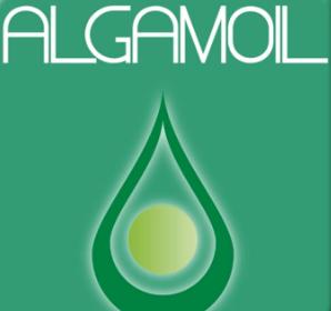 Algamoil: Der neue Treibstoff überzeugt in ersten Tests (Foto: youtube.com)