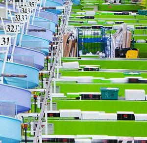 Sortieranlage: Otto forciert Brasilien-Investment (Foto: ottogroup.com)