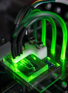 Mikrofludik-Gerät: simuliert verengte Arterien (Foto: Rob Felt)