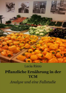 Buchcover des E-Books (Copyright: LuR)