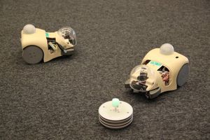 Robotische Nager: simulieren Balzrituale für Forschung (Foto: oist.jp)