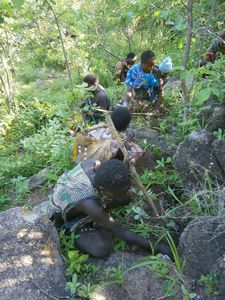 Stamm: Hadza beim Graben nach pflanzlicher Nahrung (Foto: eva.mpg.de)