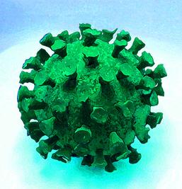 Virus: Forscher arbeiten unter Hochdruck an Medikament (Foto: pixelio.de, Aka)