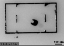 Mini-Roboter der Zukunft: kaum einen Millimeter groß (Foto: cmu.edu)