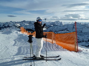 Skifahren: Sensor steuert Handy (Foto: pixelio.de/Dr. Klaus-Uwe Gerhardt)