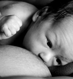 Baby beim Stillen: Forscher finden neue Details heraus (Foto: pixelio.de, Karin)