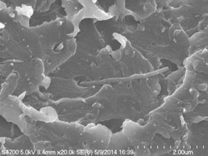 Unter dem Mikroskop: ein neues Super-Polymer (Foto: research.ibm.com)