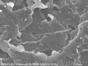 Unter dem Mikroskop: ein neues Super-Polymer (Foto: research.ibm.com)