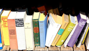 Bücher: Computerprogramm verwandelt Romane in Musik (Foto: pixelio.de/Rike)