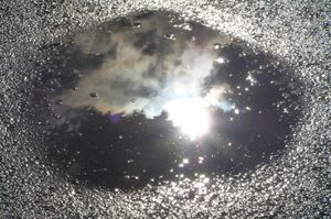 Brutstätte Pfütze: Da muss Bewegung rein (Foto: pantau007,pixelio.de)