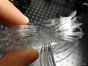 Mini-Labor: erkennt selbst kleinste Krebsproteine sofort (Foto: icfo.eu)