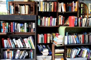 Bücherregal: Machen E-Books es bald obsolet? (Foto: pixelio.de/Rike)