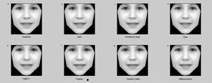 Gesichter: Software hilft dabei, Erbkrankheiten zu erkennen (Foto: ox.ac.uk)