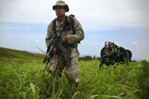 Folgsames Robo-Tier: übt auf Hawaii (Foto: US Marine Corps, Sgt. Sarah Dietz)