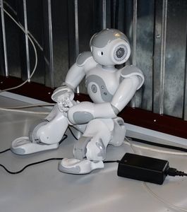 Roboter: zur Therapie von Pädophilen einsetzbar (Foto: pixelio.de/Dieter Schütz)