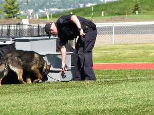 Suchhund: Technik könnte Spürnase ausstechen (Foto: Rukia13, flickr.com)