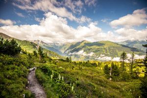 Wanderweg am Gasteiner Graukogel: Branche zuversichtlich (Foto: gastein.com)