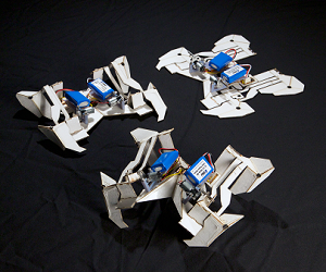 Selbstfalter: erst flach, dann krabbelnd (Foto: Harvard Wyss Institute)