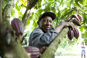 Kakaobohnen-Farmer: Fair gehandelte Waren boomen (Foto: fairtrade.net)