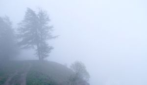 Nebel-Tristesse: Oft wollen junge Menschen sterben (Foto: pixelio.de, R. Sturm)