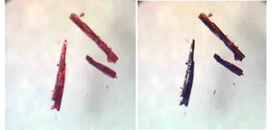 Kristalle: binden enorme Mengen Sauerstoff an sich (Foto: sdu.dk/en) Kristalle: binden enorme Mengen Sauerstoff an sich (Foto: sdu.dk/en)